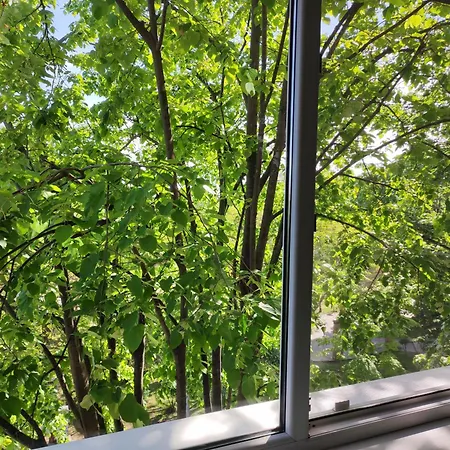 トミス99 アパート