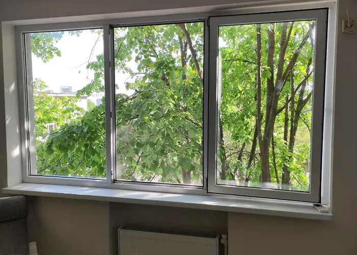 トミス99 アパート コンスタンツァ